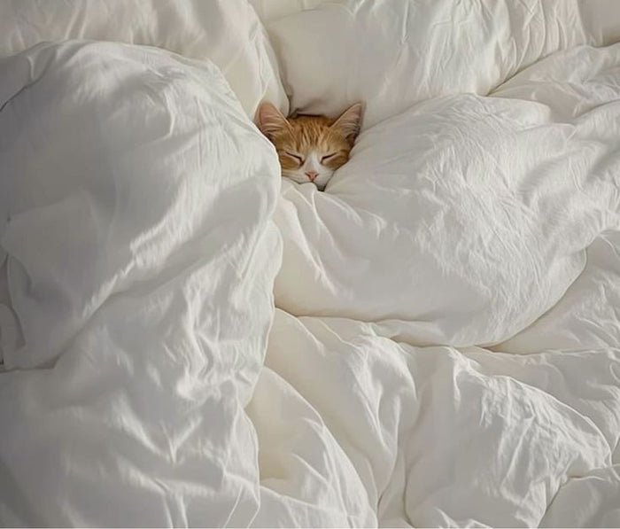 Sleep Without Stress: Easy Fixes for Restful Nights